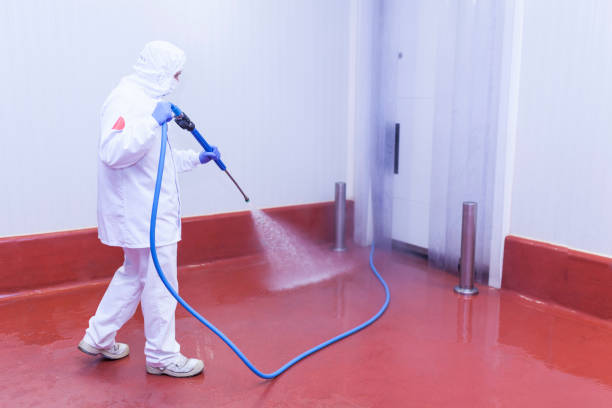 Paint Preparation in Krum, TX